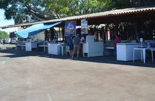 Feira do Peixe, tradição que sustenta e atravessa gerações