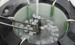 ABHB lança Sumário de Avaliação Genética PampaPlus 2020