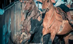 Marcelo Lomba, Saravia e Anthoni testam positivo para covid-19 e desfalcam o Inter