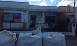 Cova vai desfilar com 1.200 componentes