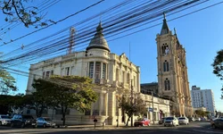 Criado canal de denúncias sobre alimentos sem inspeção