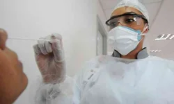 Aprovado Dia do Cão de Polícia