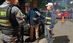 Colheita do arroz no RS atinge 71,31% da área semeada