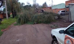 SMS orienta para vacinação até 21 de julho