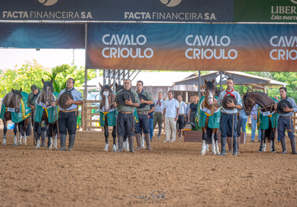Criadores têm até dia 23 para se inscrever na Expo FICCC 2026