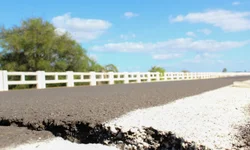 Definida criação de força tarefa de combate ao Aedes Aegypti