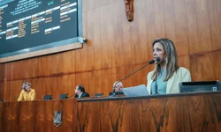 AL  aprova projeto que torna obrigatória biometria facial em estádios com mais de 20 mil lugares