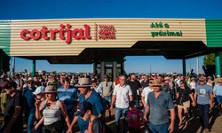 Fim de semana de conhecer os finalistas do Gauchão