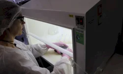 Santa Casa recebe R$ 530 mil do RS