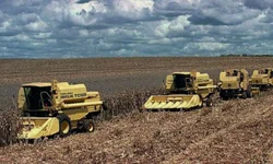 Prorrogado prazo para inscrição no programa de Sementes Forrageiras de inverno e verão