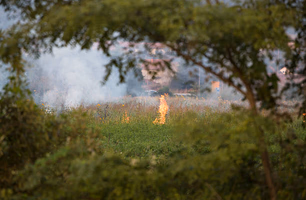 Bombeiros controlam incêndio em vegetação na Flores da Cunha