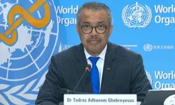 OMS declara o fim da pandemia de covid-19