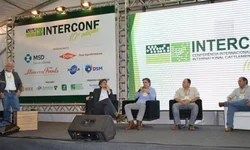 Criadores debatem rumos da produção de carne de qualidade