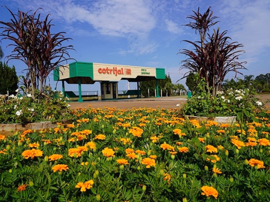 Governador e secretários participam da 23ª Expodireto Cotrijal