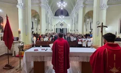 Uruguaiana chega a 42 casos confirmados de dengue neste ano