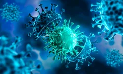 Crianças imunodeprimidas serão priorizadas na vacinação