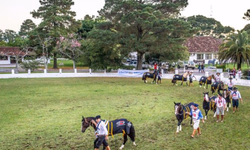 Está aberta a campanha de vacinação contra a febre aftosa