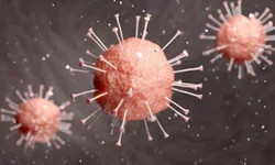 Uruguaiana tem 26 casos ativos