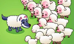 PRF divulga balanço regional e nacional das ações