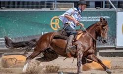 Final do Freio do Proprietário, Inclusão de Ouro e Guasqueiros será retomada em fevereiro