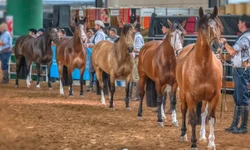 Desemprego sobe para 8,6% no trimestre encerrado em fevereiro
