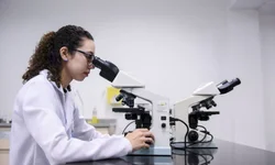 Resultado da 1ª chamada do Prouni será divulgado nesta terça