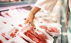 Mariana Tellechea é eleita presidente da Associação Brasileira de Angus