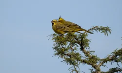 Semana Mundial da Água será marcada por eventos