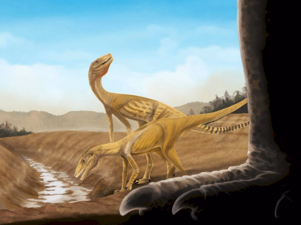 Ancestral mais antigo dos dinossauros é descoberto no RS