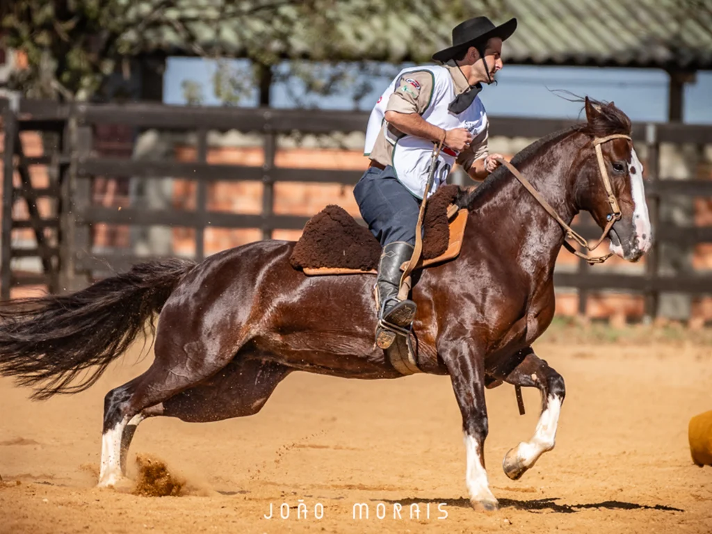 Classificatória Gaúcha Norte define vagas para o Freio de Ouro