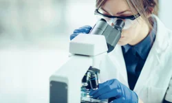 10ª CRE e TEAcolhe promovem capacitação sobre autismo