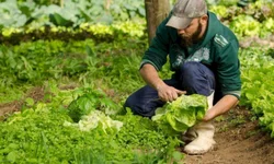 Sebrae-RS promove quarto episódio do ‘CER com você, professor!’