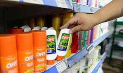 Cova vai desfilar com 1.200 componentes