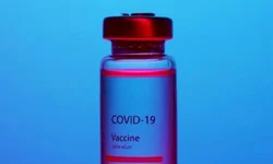 Cientistas querem criar embriões sintéticos para doar órgãos