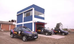 Brigada apreende dez capivaras em carro abandonado