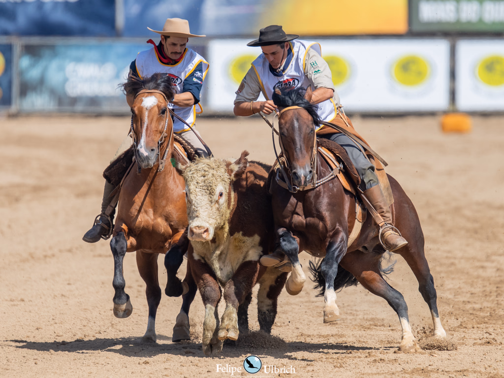 Uruguaiana sediará Classificatória ao Freio de Ouro 2023 em junho