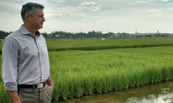 Ministra dá posse aos novos secretários do Mapa