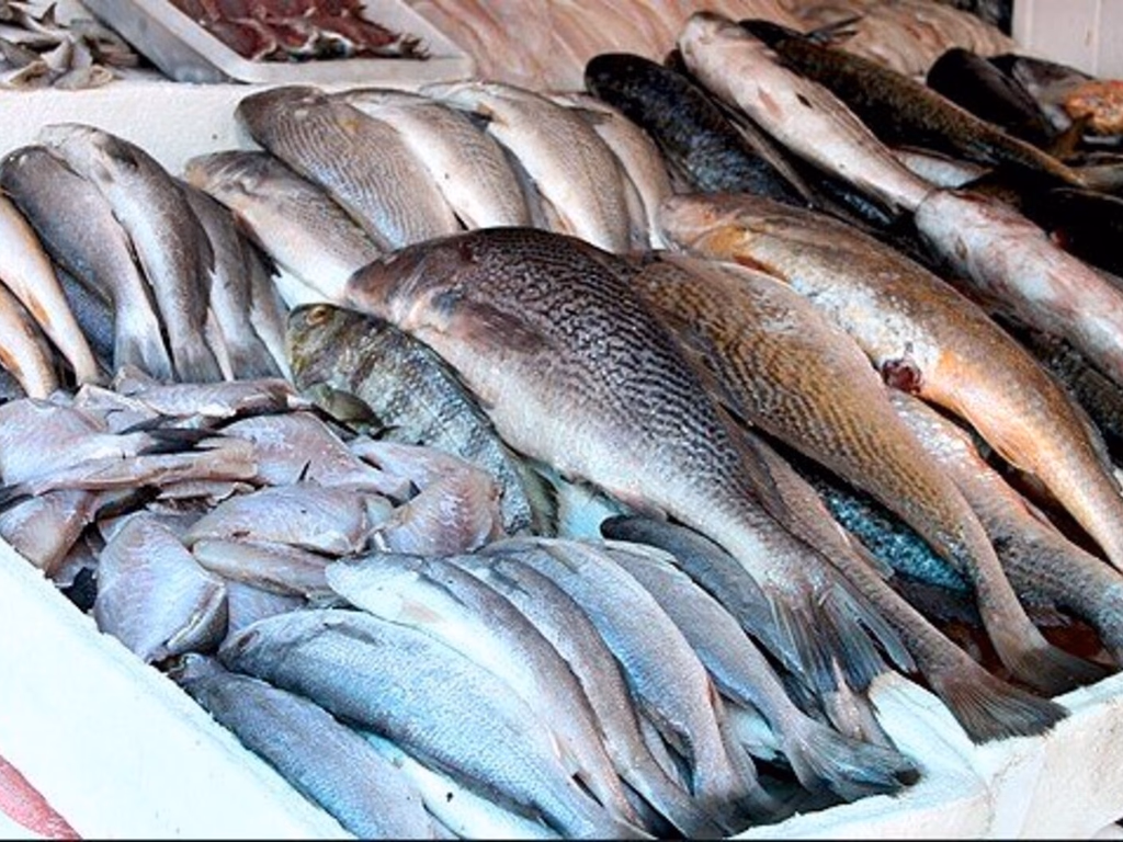 Feira do Peixe já tem data marcada