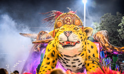 Deu Chucha na Zebra exalta a resiliência e promete desfile arrebatador