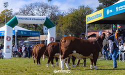 Parceria possibilitará cálculo de balanço de carbono nos sistemas agropecuários