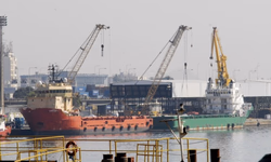 Prorrogado prazo para inscrição no programa de Sementes Forrageiras de inverno e verão