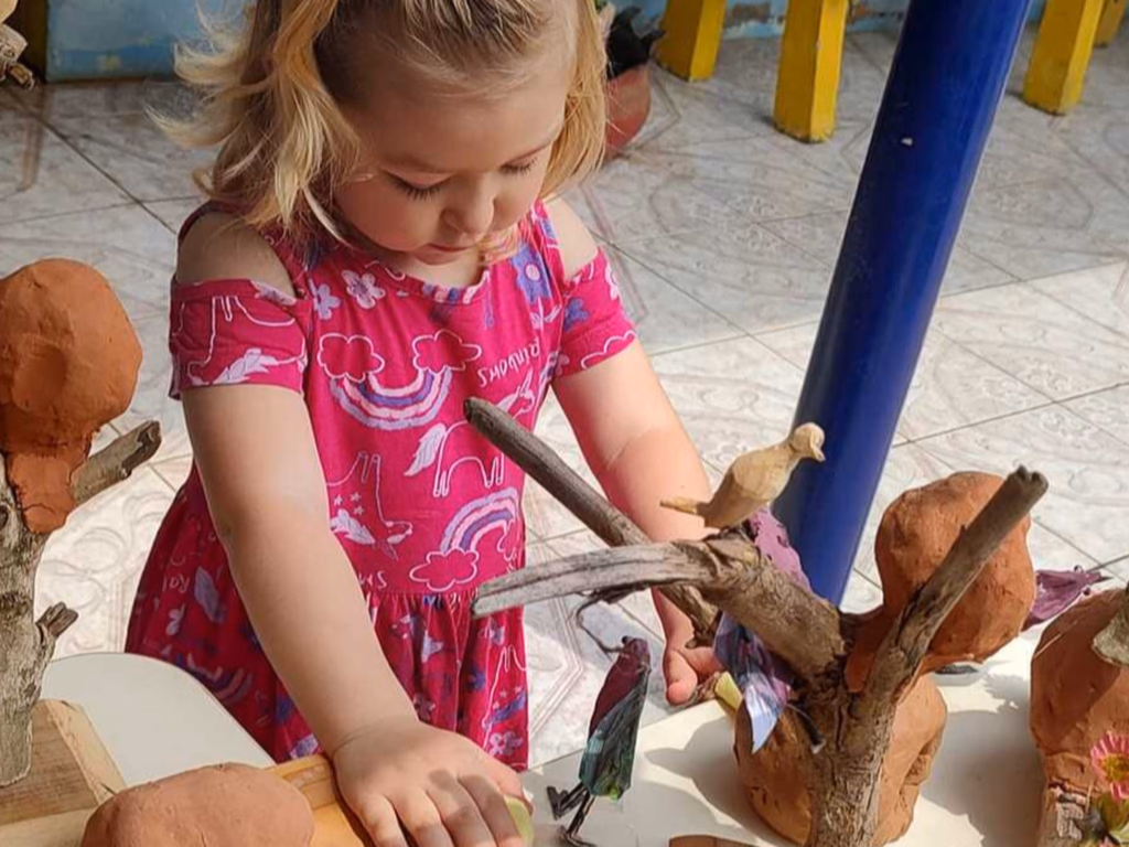 Feira do livro da escola Dom Bosco acontece em novembro