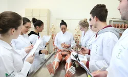 Seduc e CRE’s debatem sobre o Programa de Apoio ao Novo Ensino Médio