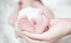 Vacinação noturna aplicou mais de 100 doses