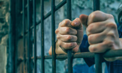 Exposição marca 80 anos da Força Expedicionária Brasileira