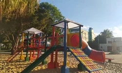 Profissionais esclarecem dúvidas sobre castração de animais