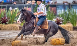 Colibri Matrero e Gabriel Marty são tricampeões