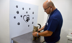 Presidente da Câmara avalia gestão 2025