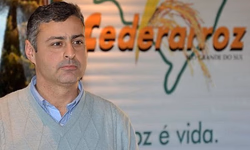 Federarroz entra com pedido para integrar ação sobre os agroquímicos