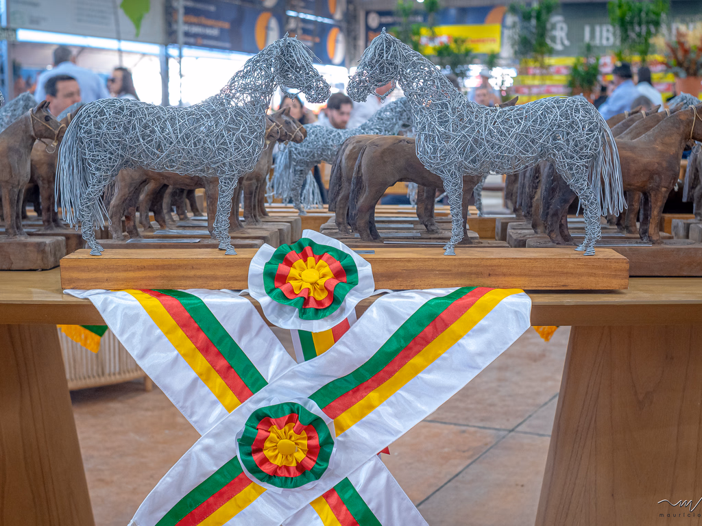 ABCCC define calendário de passaportes de outono